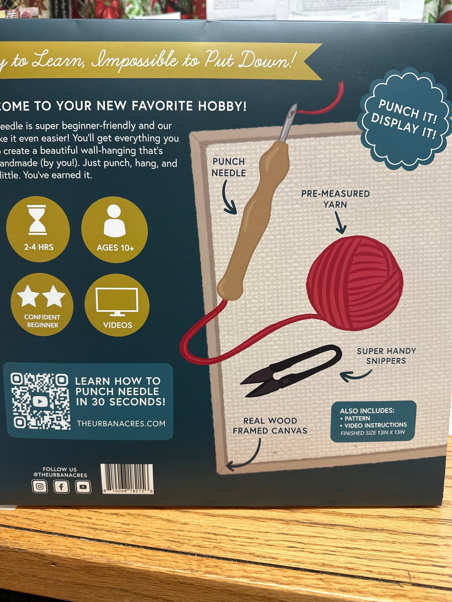 Punch needle kit Butterfly larger square Bernina Jeff Sewing Machine Supplies Colorado